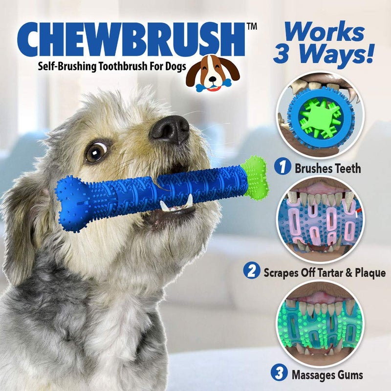 BulbHead Chewbrush Toothbrush and Toy - No Dog Toothpaste Required - Great Teeth Cleaning Toy (1 Pack) - Image 3